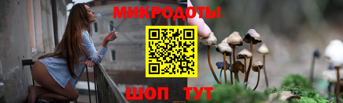 Галлюциногенные грибы Psilocybe  Вход с VPN  Самара  Псилоцибиновые грибы мицелий 